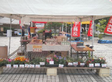 住まいの無料相談会(高屋工務店) 住まいの無料相談会(高屋工務店)